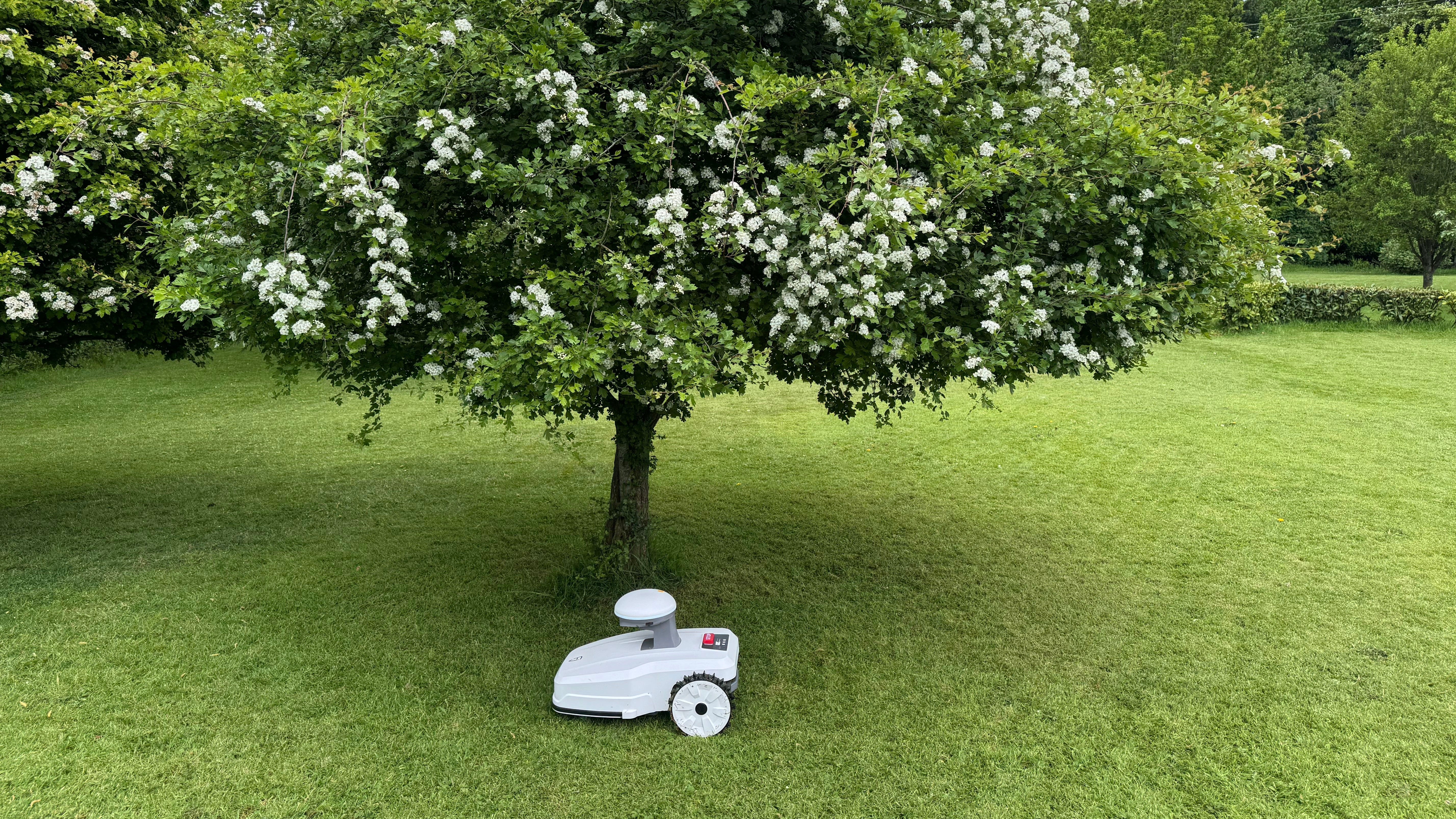Are Robot Lawn Mowers Worth the Cost?